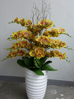 54b607ff5fd9ff7a2d664e79_orchid-7.jpg