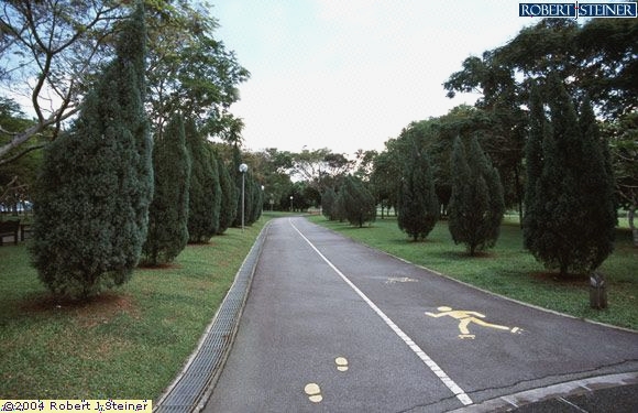 Bedok Reservoir Park, Cycling/Pedestrian Track