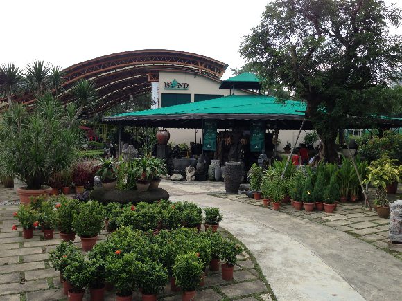Island Landscape Nursery Image Singapore Island Landscape Nursery